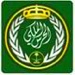 Saudi Royal Guard